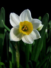 s-IMG_0491.JPG