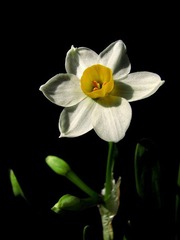 s-IMG_3853.JPG