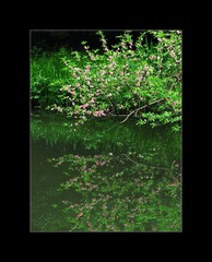 IMG_0699_