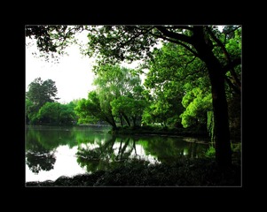 IMG_0805_