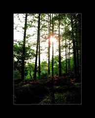 IMG_0838_