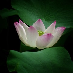 001