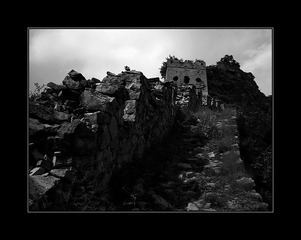 IMGP6210-bw-s.JPG