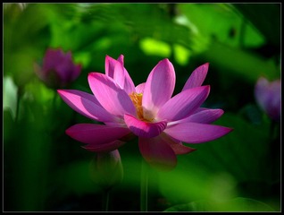 IMG_0305_