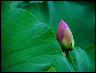 IMG_0330_