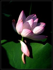 IMG_0377_