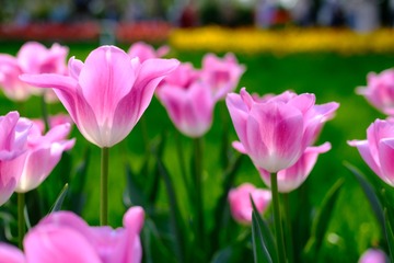 BC9B705F-C592-48BA-9D56-720DF1018828/L0/001