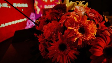 DSC02916后改.JPG