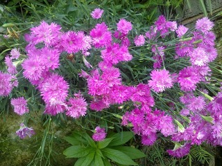 20110626053.jpg