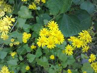 20110528619.jpg