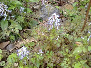 20110401483.jpg