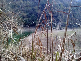 20110401485.jpg
