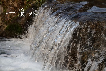 IMG_3990.jpg