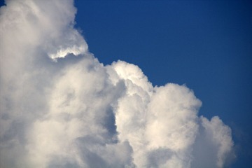 IMG_4926p