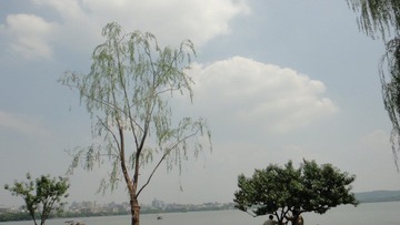 DSC00542.JPG