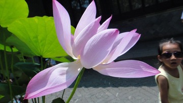 DSC00712.JPG