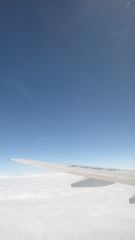 DSC00494.JPG