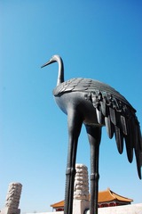想天空