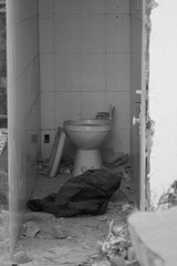 IMG_7372.JPG