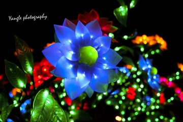 IMG_1634.jpg