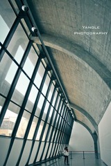 IMG_1768.jpg
