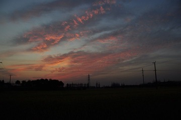DSC_1478.JPG