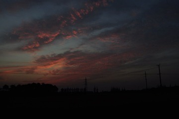 DSC_1480.JPG