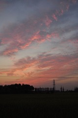 DSC_1483.JPG