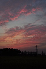 DSC_1484.JPG