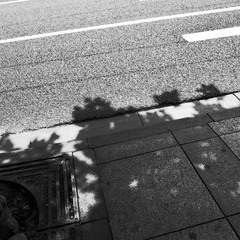 R0011143.JPG