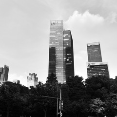 R0011150.JPG