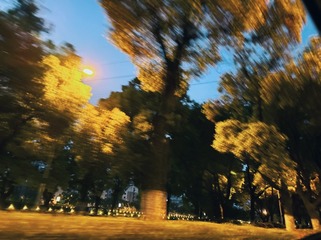 D6AEE601-5E26-46AC-8563-89393A7365F4/L0/001