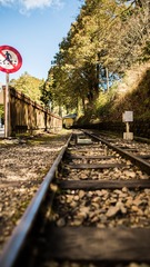 DSC_0404(1)