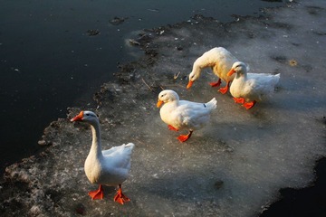 IMG_0099.JPG