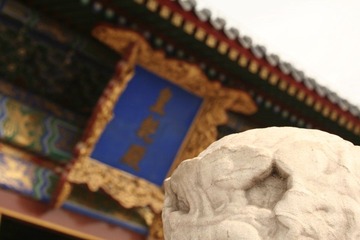 _MG_0123.JPG