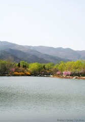 _MG_0035.JPG