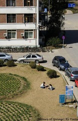 _MG_0050.JPG