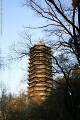 _MG_0116.JPG