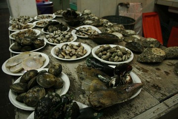 _MG_0046.JPG