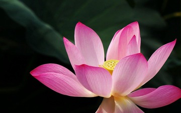 IMG_5967.JPG