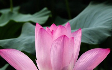 IMG_5986.JPG