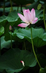 IMG_6022.JPG