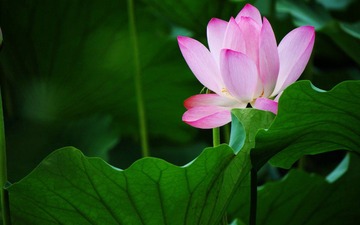 IMG_6035.JPG