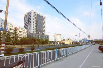 IMG_7936.jpg