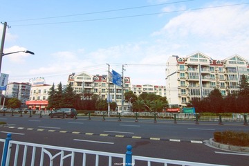 IMG_7937.jpg