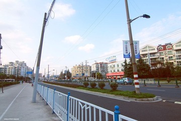 IMG_7938.jpg