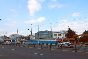 IMG_7941.jpg