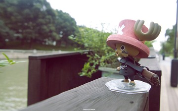 IMG_7979.jpg
