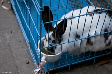 IMG_8259.jpg