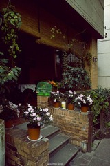 IMG_8262.jpg